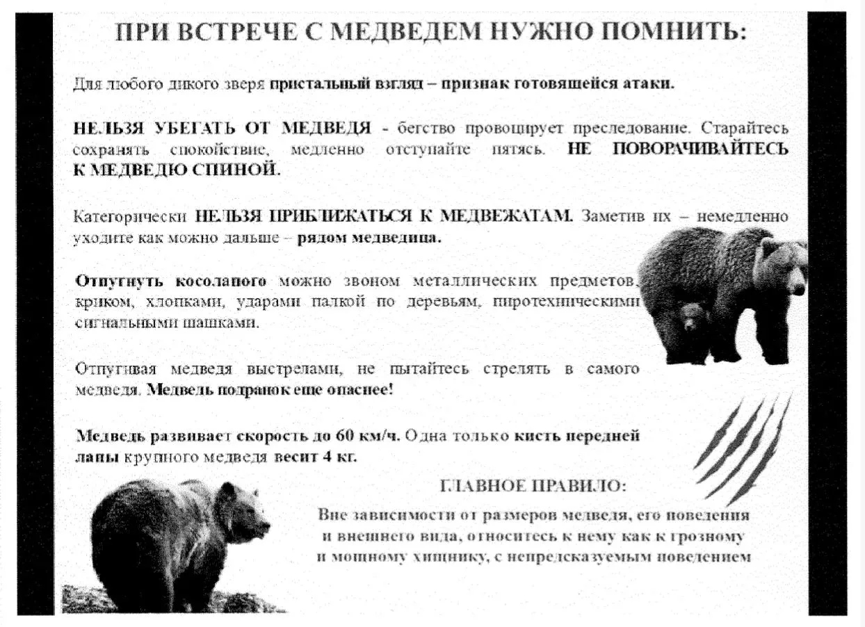 Памятка. ПРИ ВСТРЕЧИ С МЕДВЕДЕМ!!!
