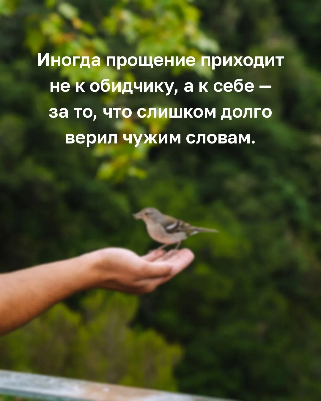 Мудрость слов | цитаты Мудрость слов | цитаты