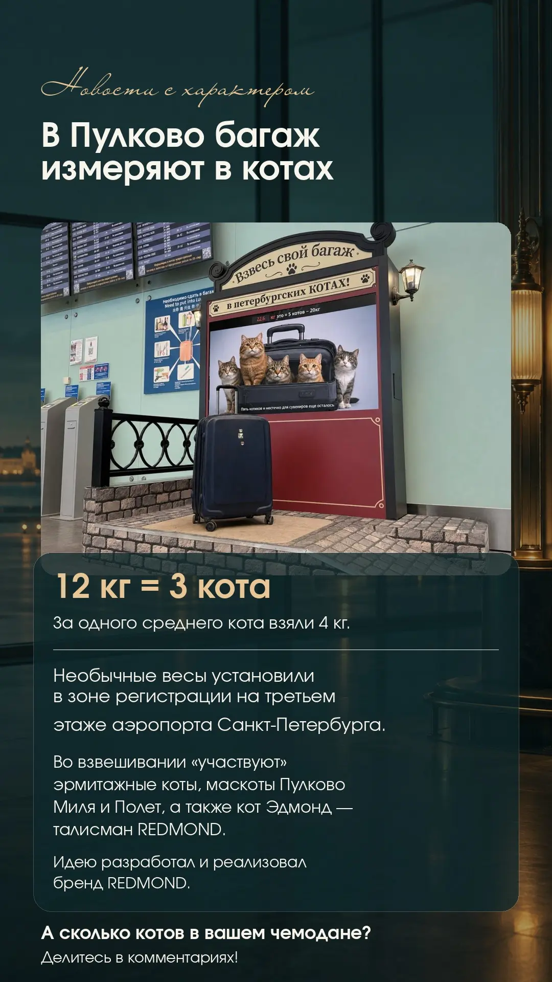 🐈‍⬛ В Пулково появились весы, которые измеряют багаж в котах