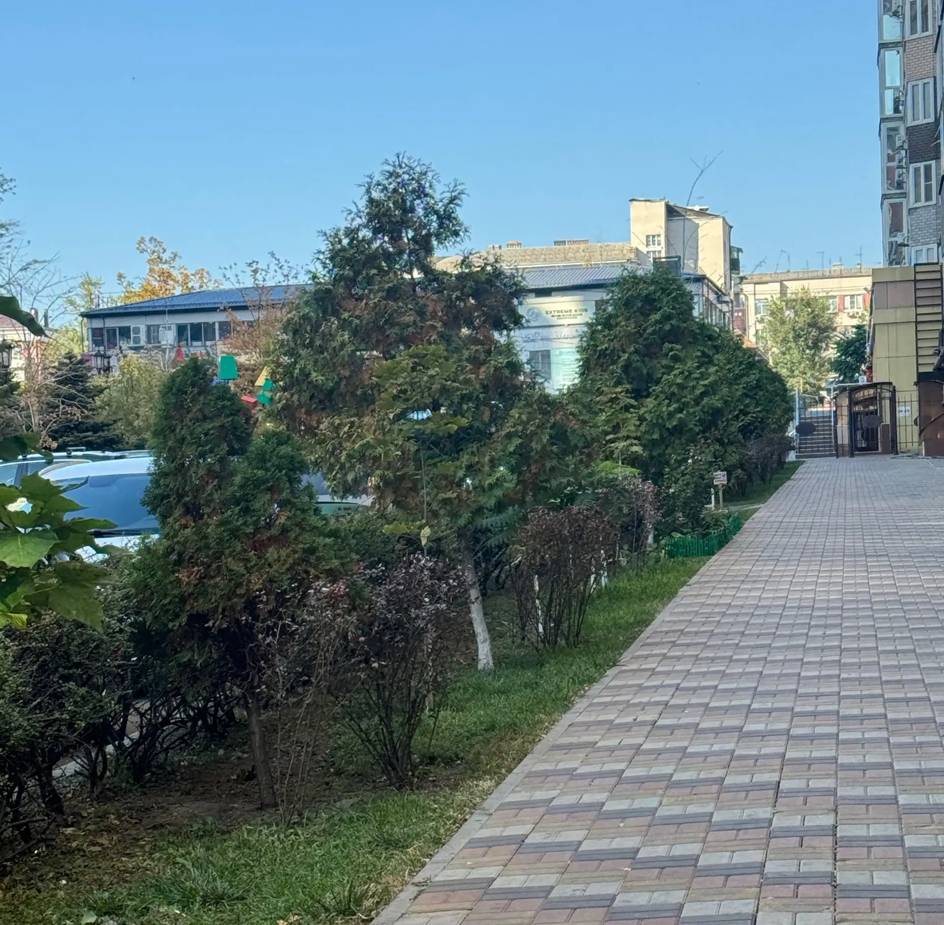 Всем доброго утра 🤍