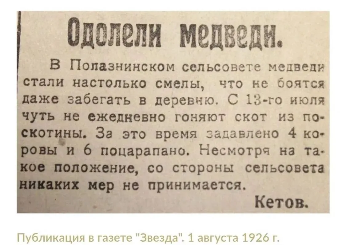 Проблема с медведями не новая.