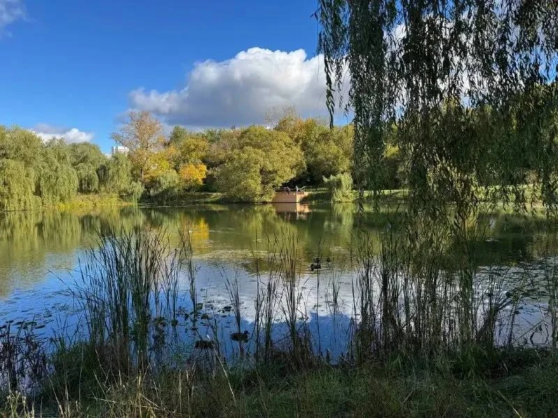 🐾 Осень в парке Яуза