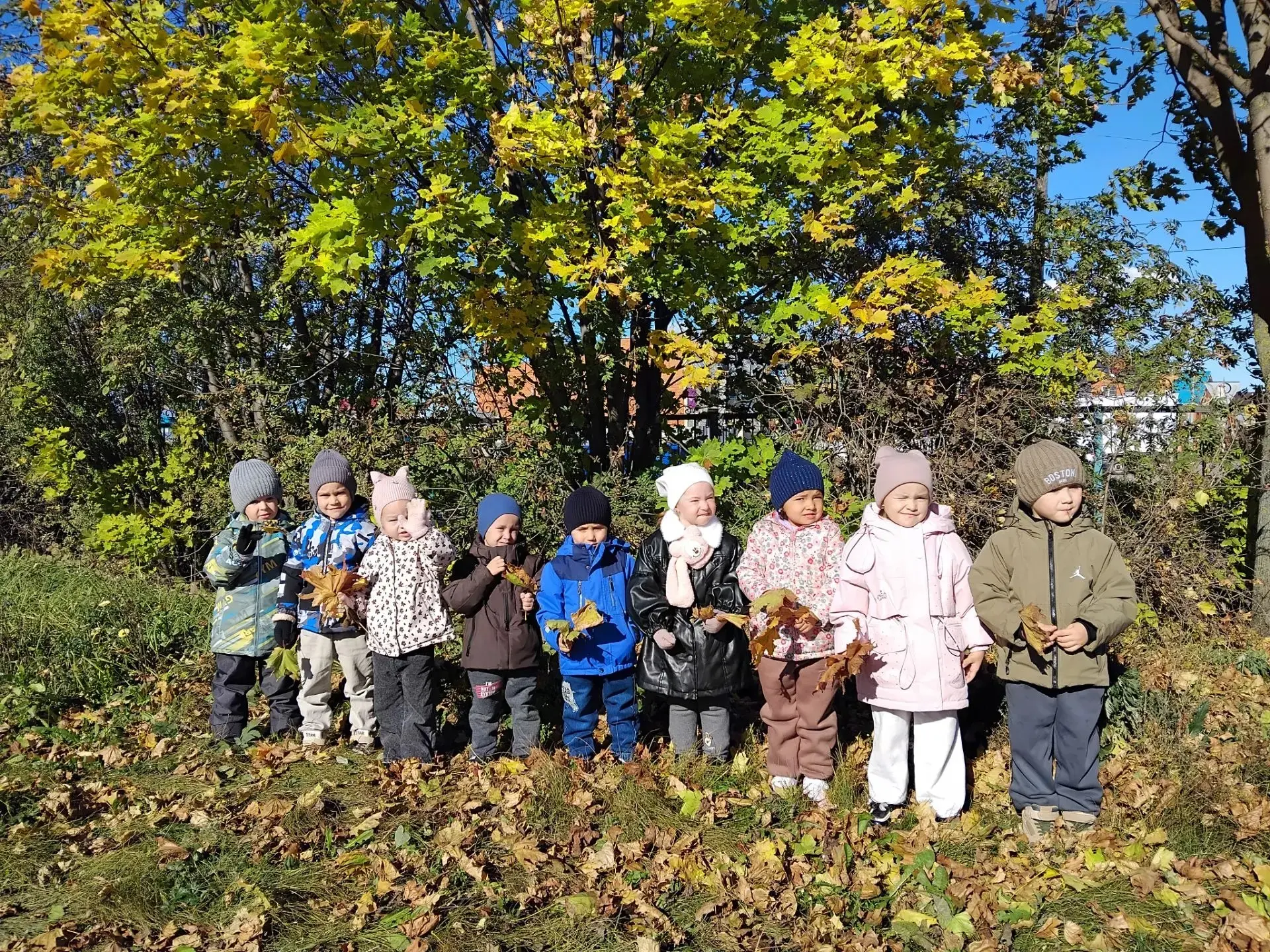 🍂 Осенние наблюдения — маленькие открытия каждый день! 🍁