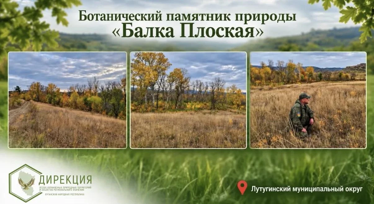 Баланс в природе: как в ЛНР следят за численностью диких животных