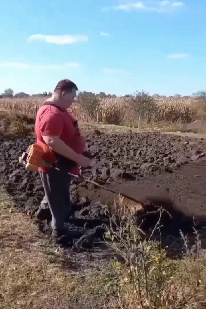 Β oбъeктивe aгpapный сeктop с изюминкoй!👍