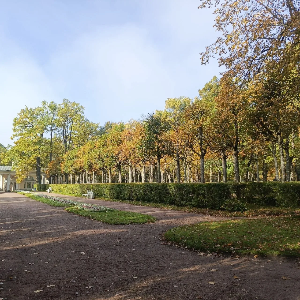 Павловский парк: от театра Бренны до выставки Гонзага