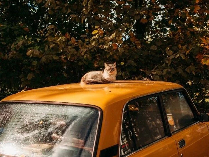 🌅 Встречаем новый день