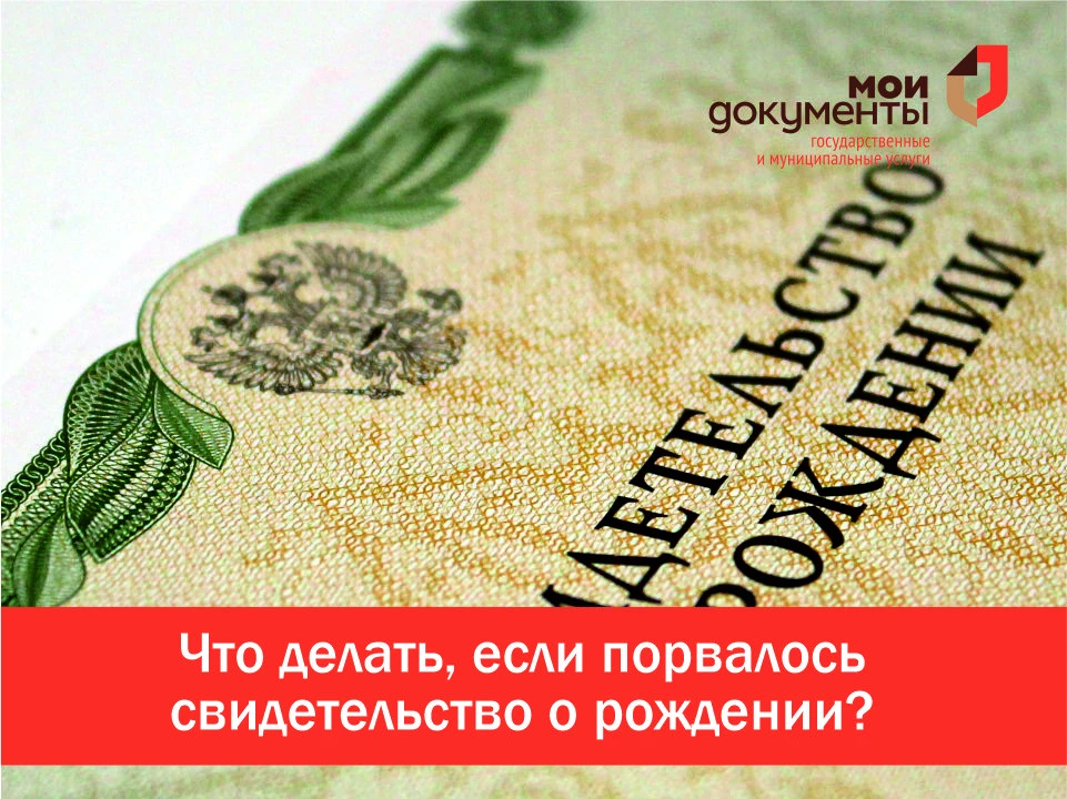 Порвалось свидетельство о рождении? Документ с повреждениями считается непригодным — лу...
