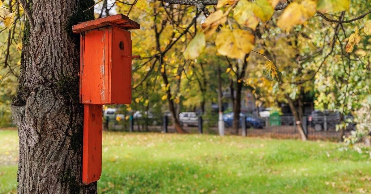 В Москве наступает глубокая осень 🍂
