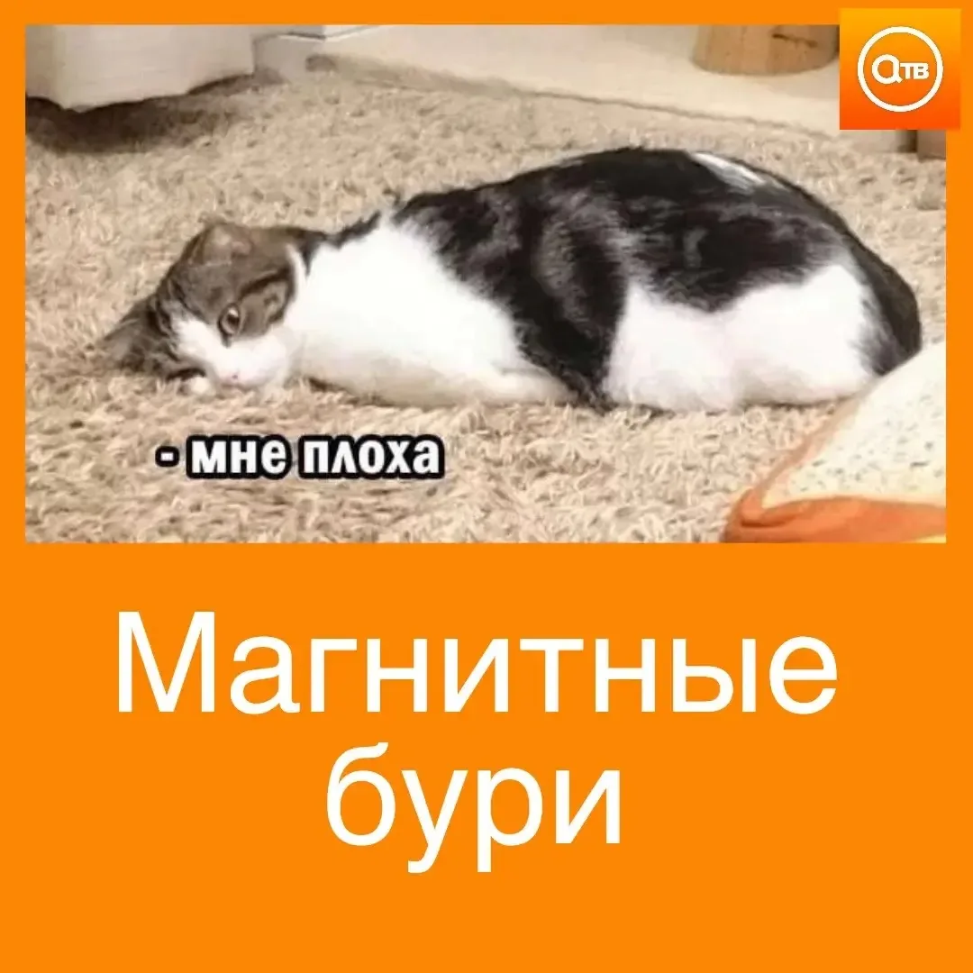 ☀️ Магнитные бури с 12 по 18 октября: неделя после грандиозного сияния