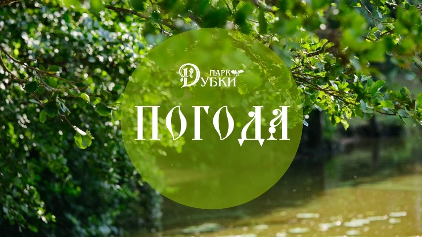 Сегодня четверг, 8 октября 2026 года в Сестрорецке: