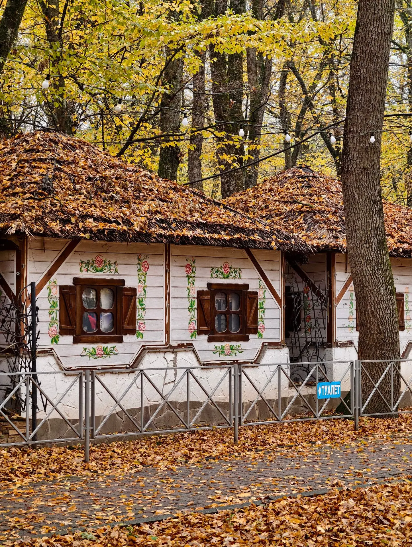 Осенний Парк Победы