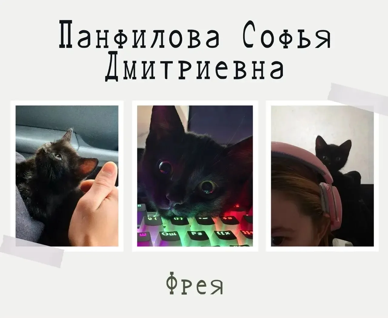 🌟 Спецноминация: Кто управляет нашими учителями? 🌟