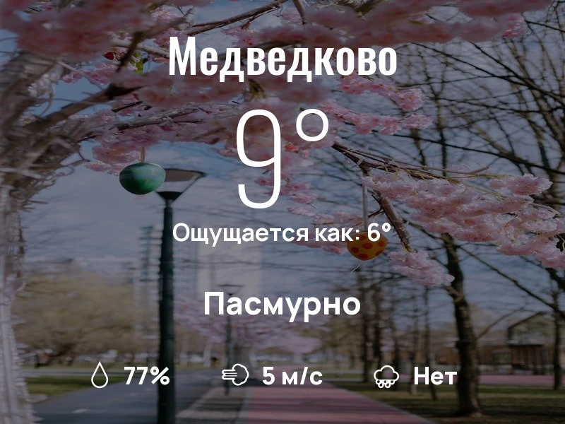 Что с погодой в Медведково?