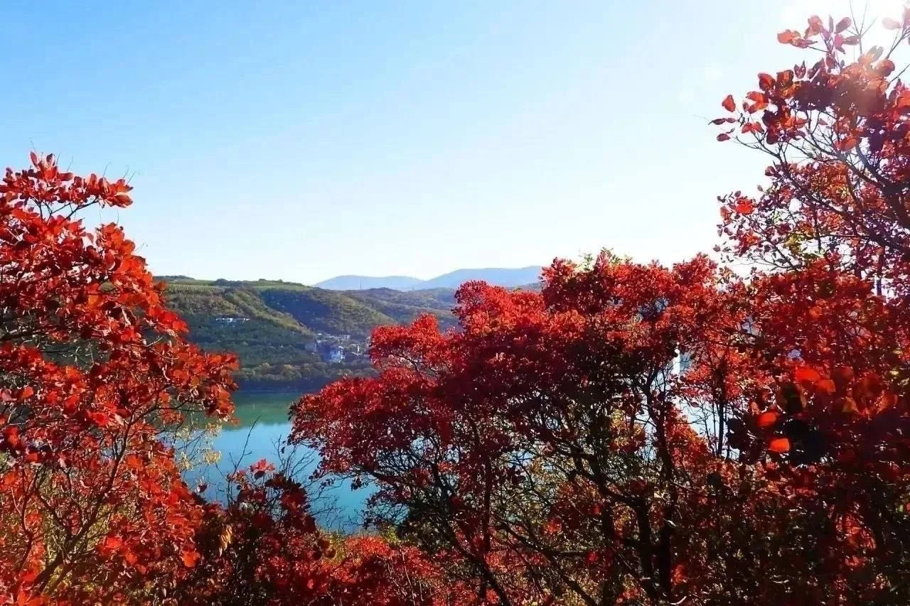 Абрау-Дюрсо задышало осенними красками 🍁