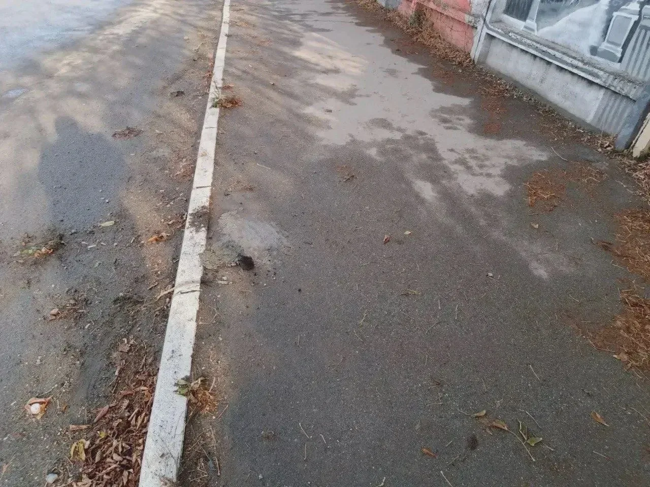 Ищут похитителей дорожных столбиков