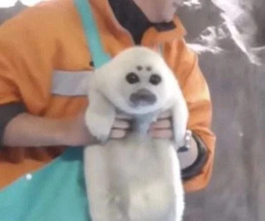 Окак