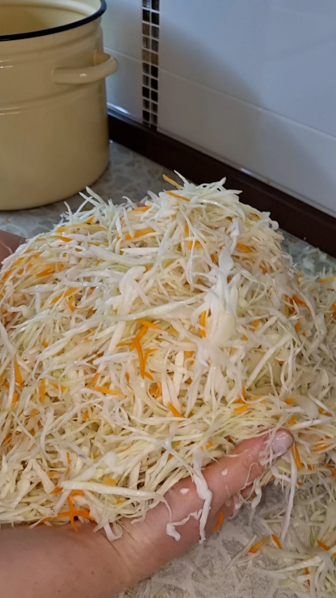 РЕЦЕПТ КВАШЕНОЙ КАПУСТЫ
