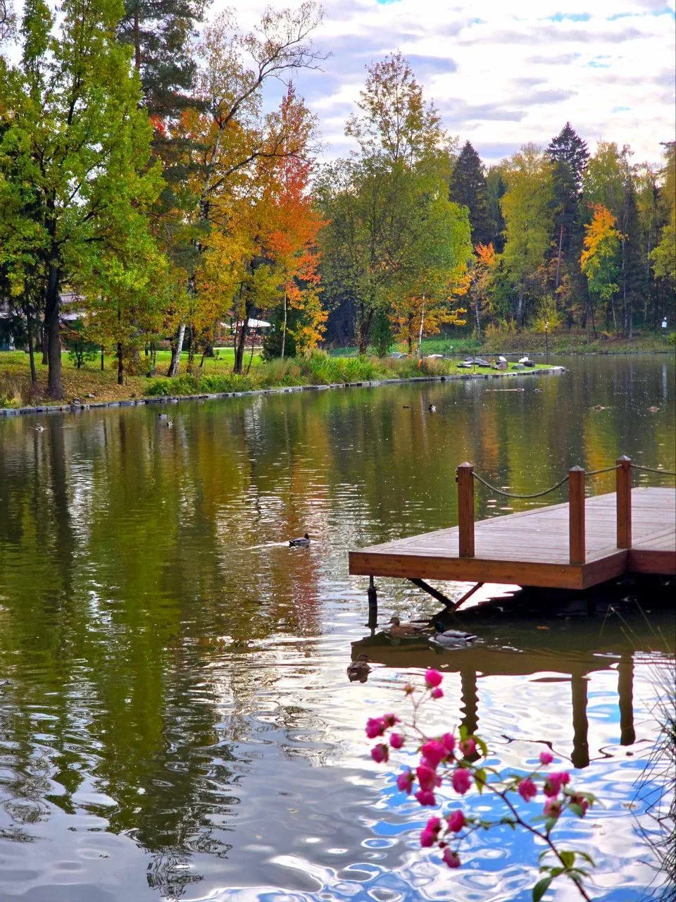 Едем гулять в живописный парк «Ближняя дача» 🍂