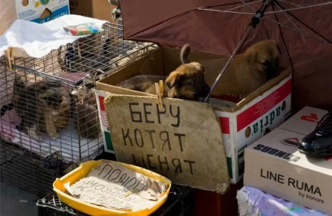 ЗАЛОЖНИКИ НЕВМЕНЯЕМОСТИ
