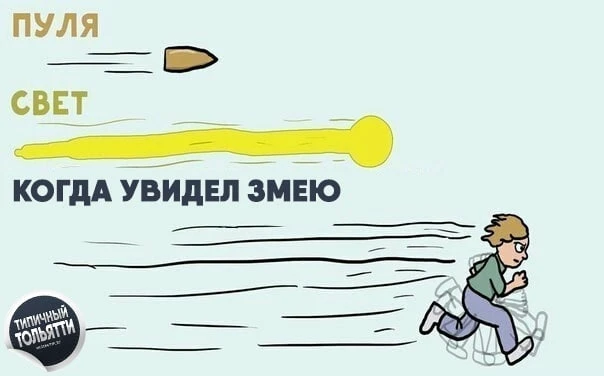 В Самарской области гадюки могут оставаться активными до ноября