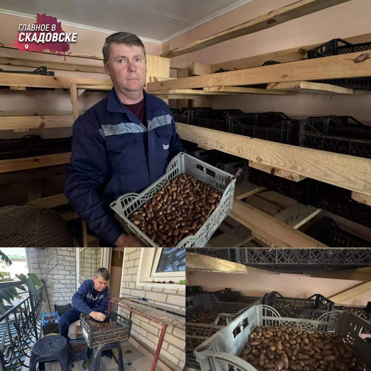 В Голопристанском лесхозе продолжается осенняя заготовка