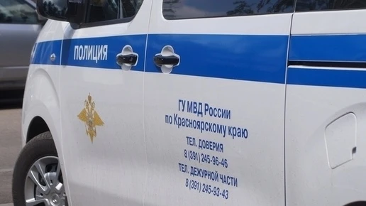 Жительницу Железногорска оштрафовали за удар полицейского ногой в грудь