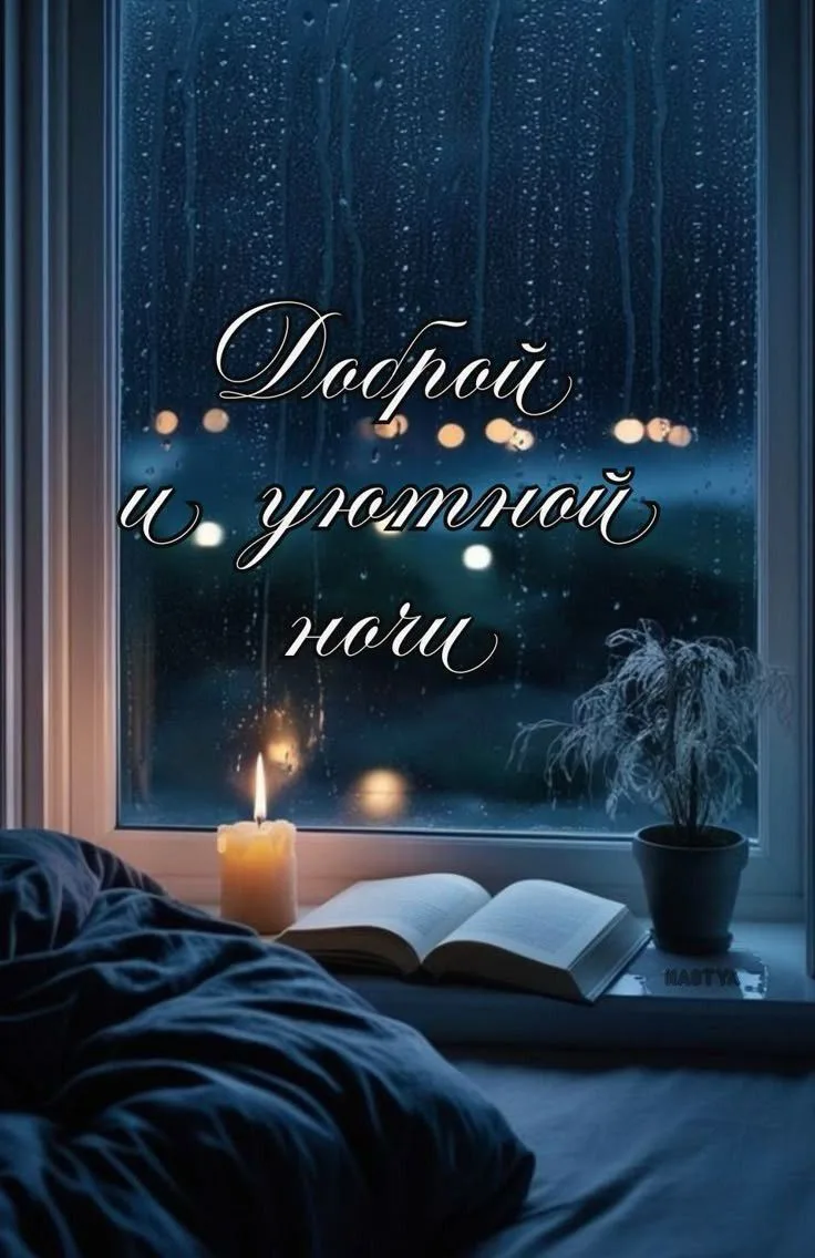 Всем хорошего вечера , доброй ночи и прекрасных выходных! 🌜✨