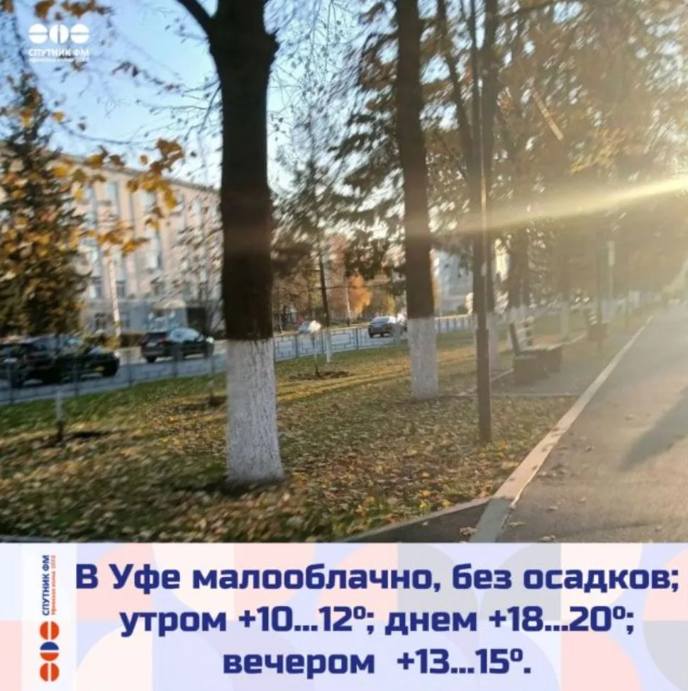 Сегодня Всемирный день хлеба, Всемирный день здорового питания и День шефа