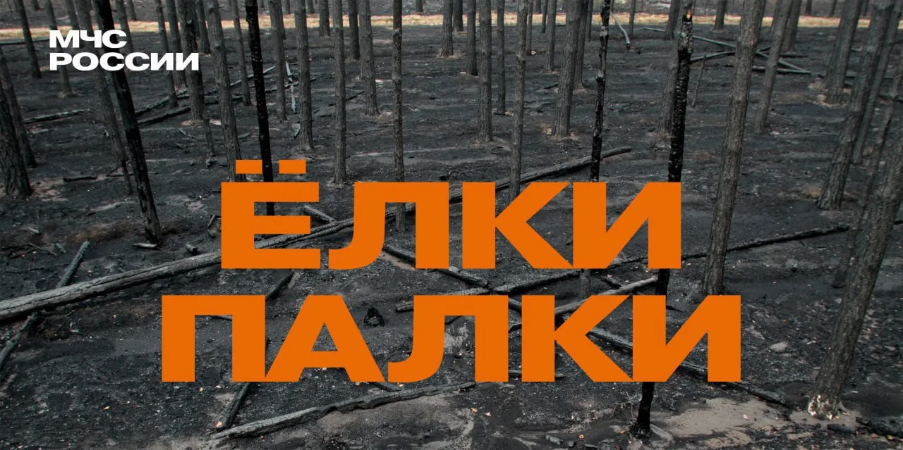 ❗❗❗ 3 причины, почему не стоит сжигать сухую траву: