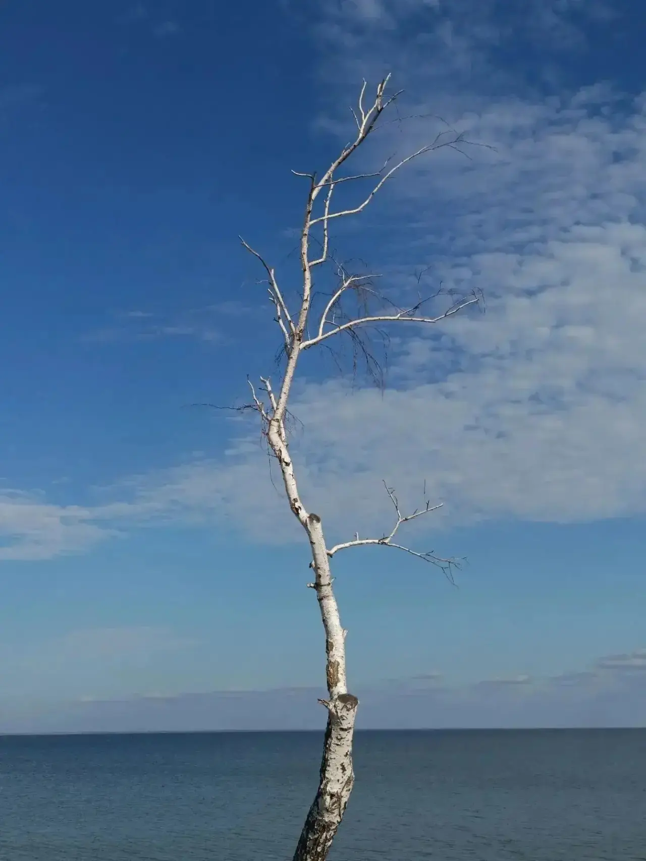 🤩 Октябрьская лазурь