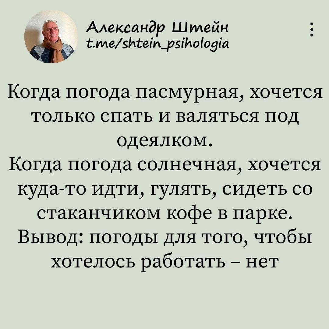 Александр Штейн