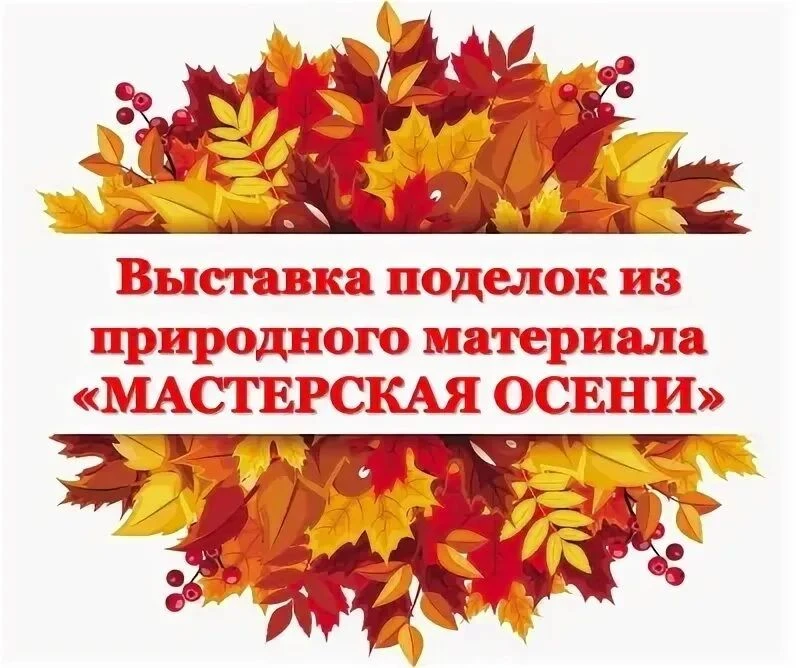 🍁Выставка поделок "Дары осени"🍁