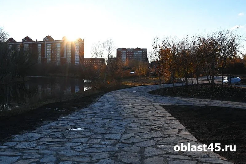 У реки Битёвки в Кургане появится новая зона отдыха «Дерево жизни».