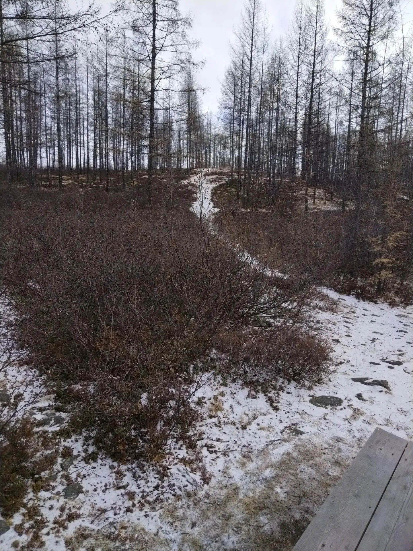 ❄ Прогноз погоды
