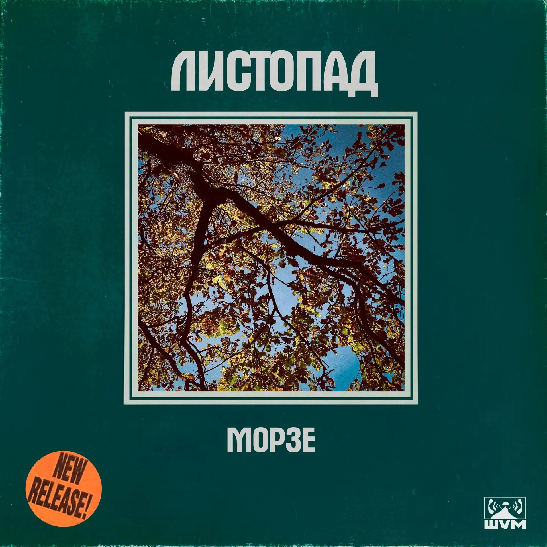 Морзе выпустил новый трек!