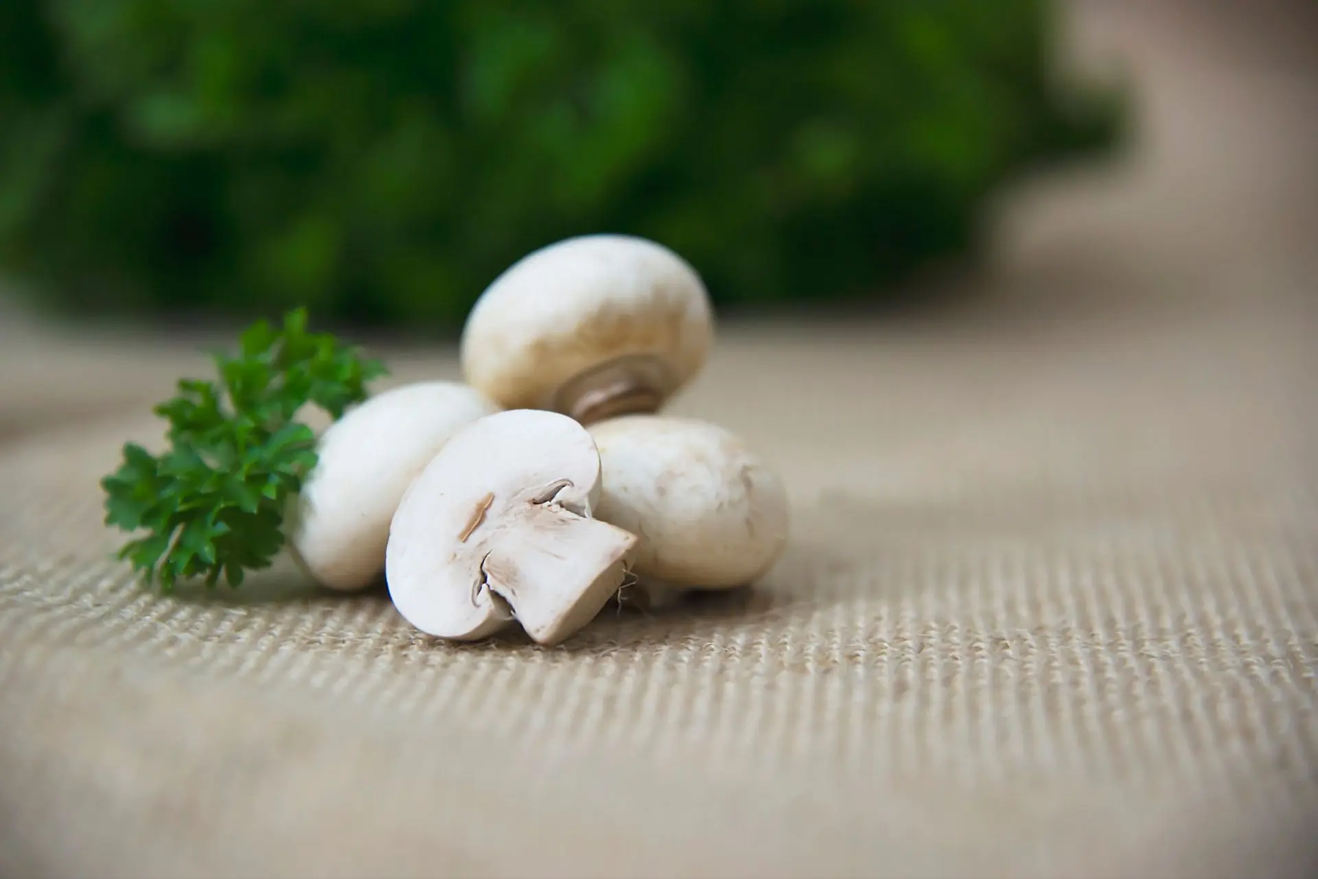🍄‍🟫Как заморозить грибы на зиму