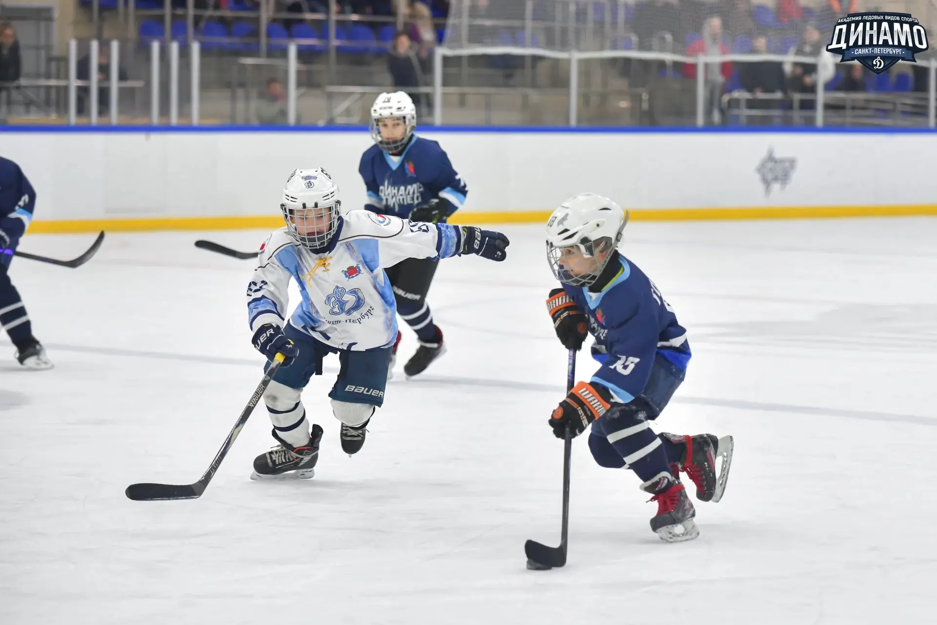"Динамо Питер-17" – "Динамо-17" 5:6 🏒