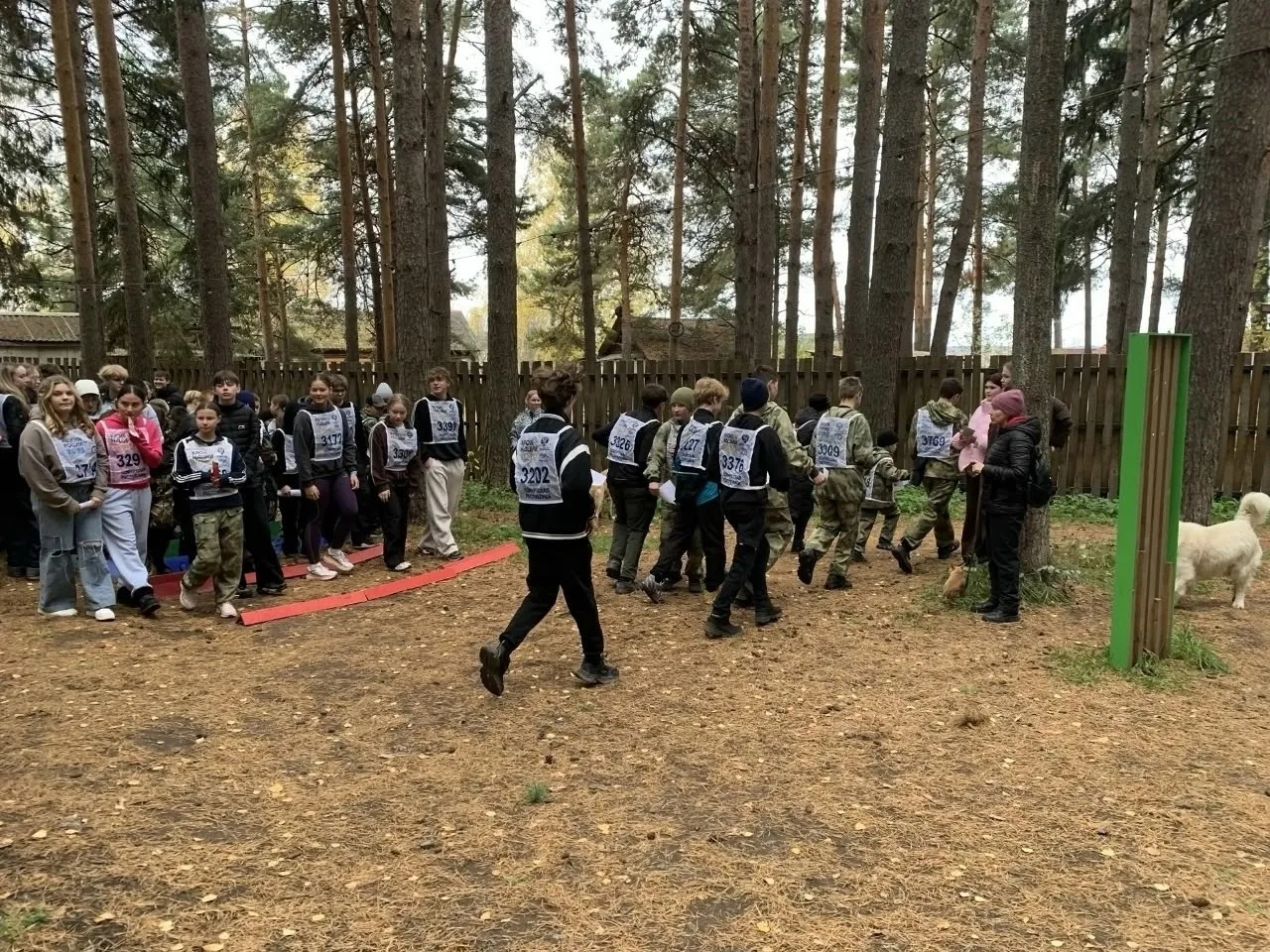 Более 120 спортсменов приняли участие в Первенстве Воткинска по ориентированию