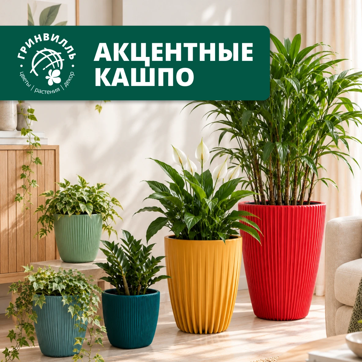 КАШПО, КОТОРОЕ ЗАДАЁТ НАСТРОЕНИЕ