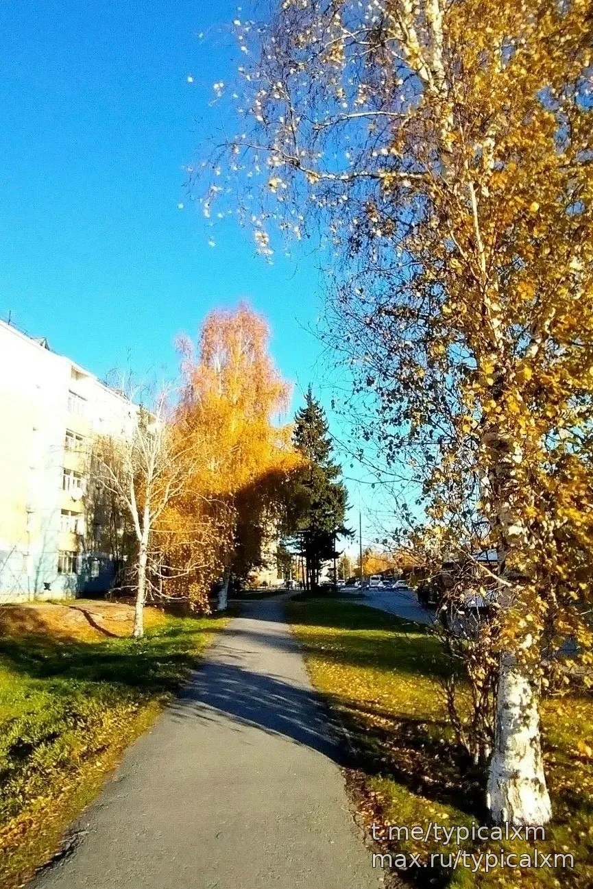 Осень🍂 в самом разгаре