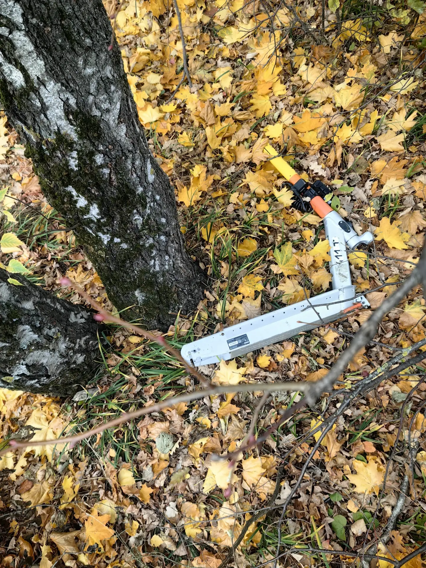 Шёл лесом, нашёл самокат