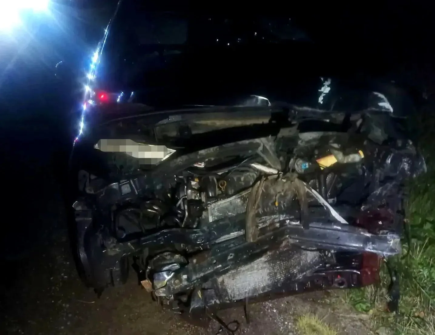 Возле деревни Ченцы произошло ДТП из-за кабана. Два легковых автомобиля столкнулись из-...