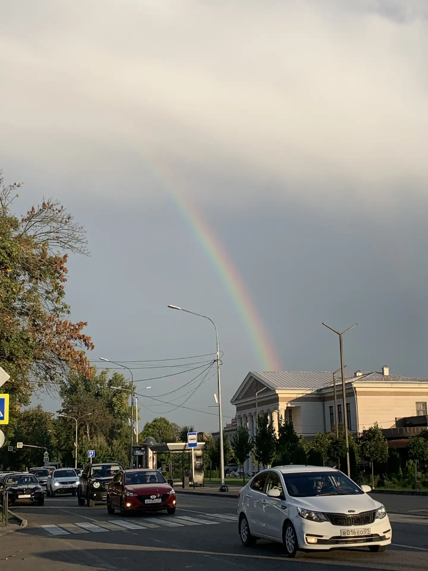 Осенняя радуга 🌈