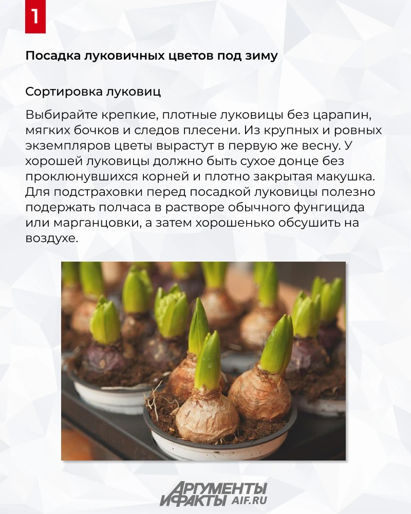 Календарь дачника