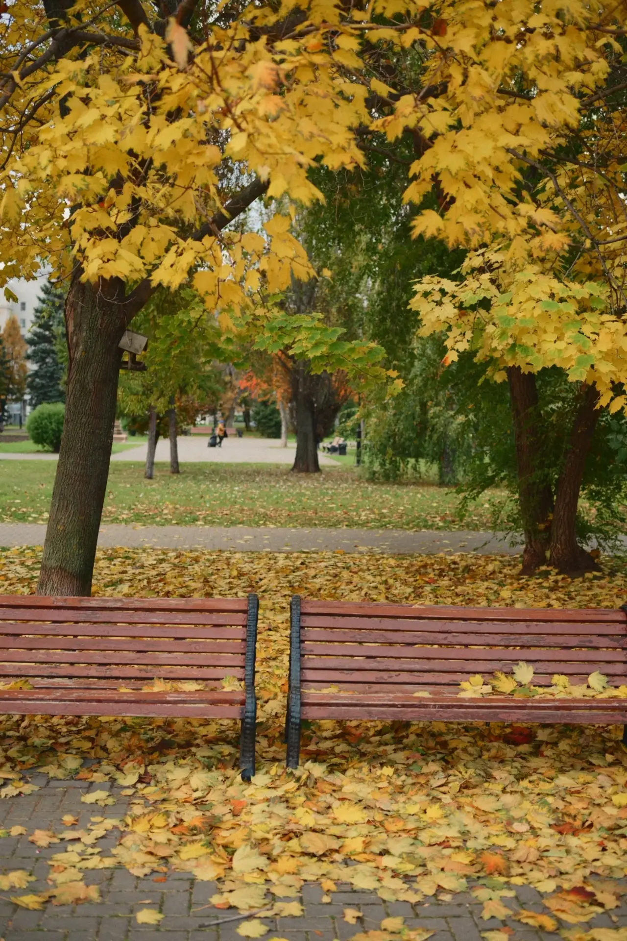 Осень в Самаре.