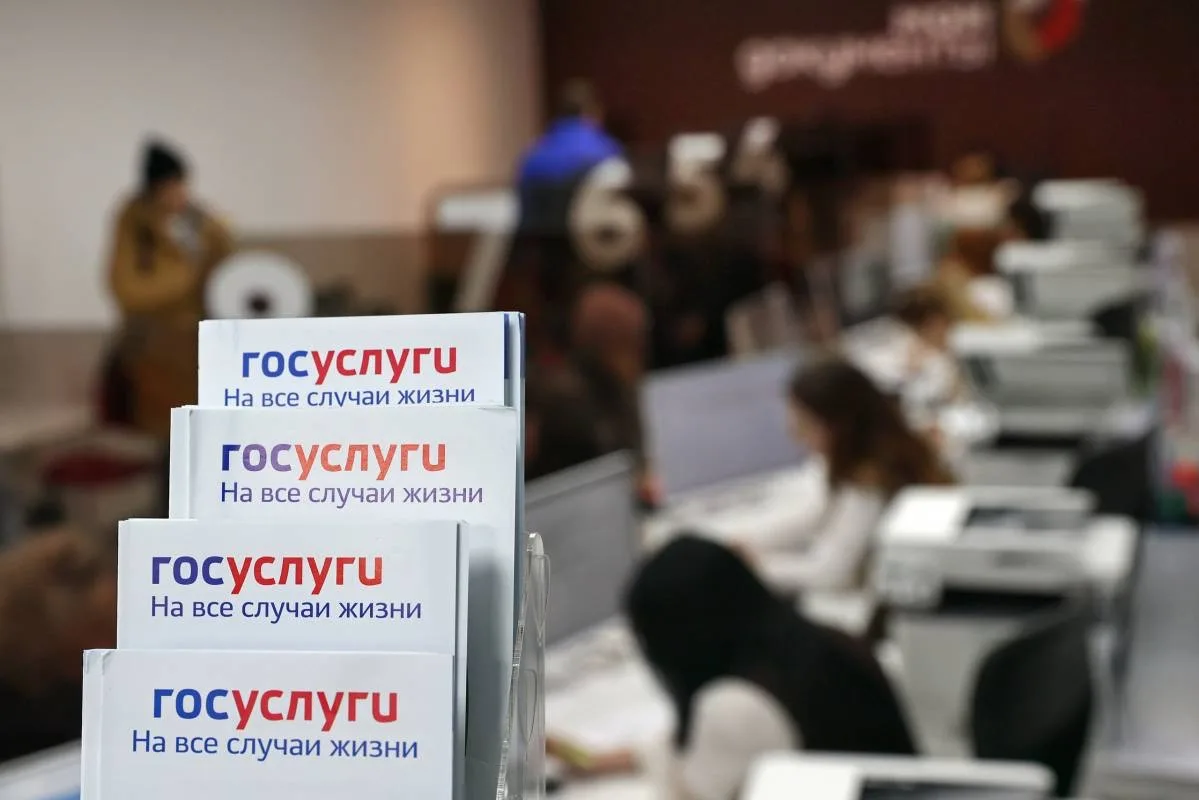Госуслуги сами подскажут вологжанам, какие выплаты и льготы им положены 📱