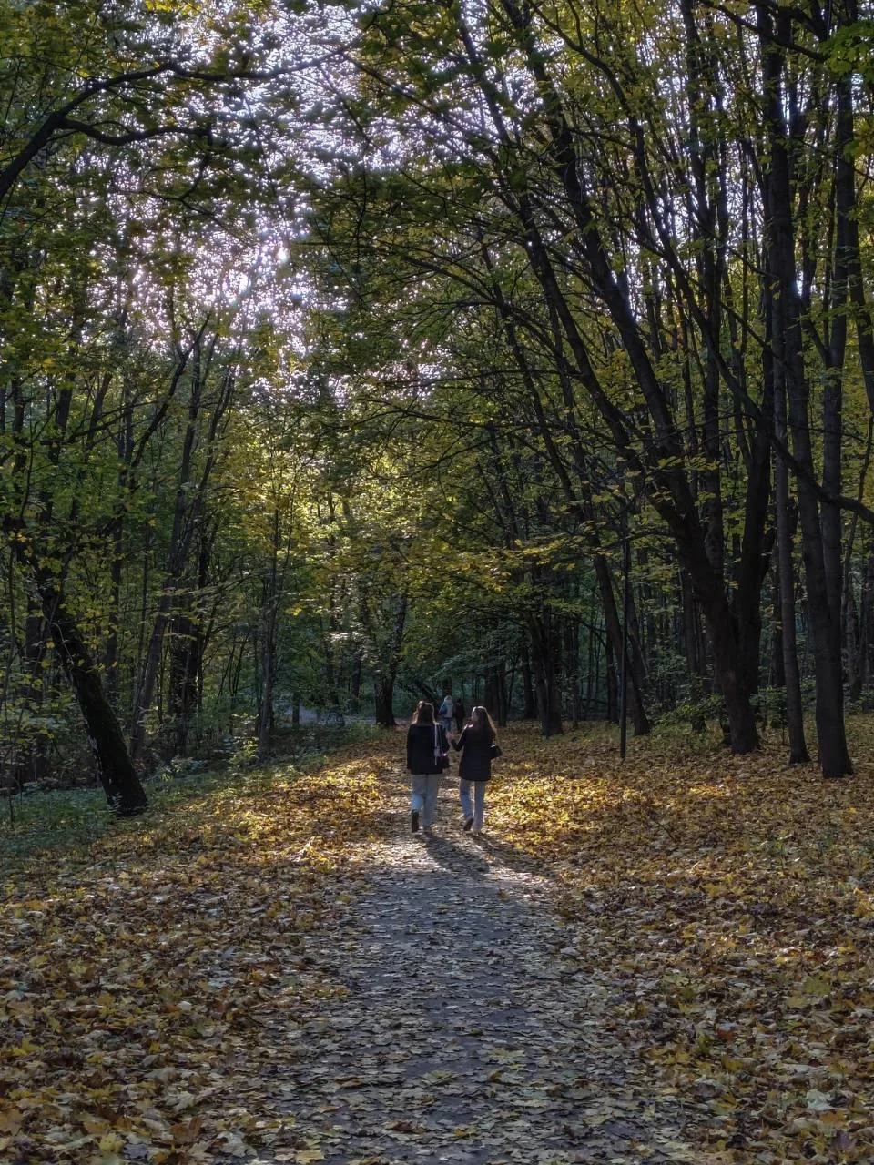 Осенний наряд парка 🍂