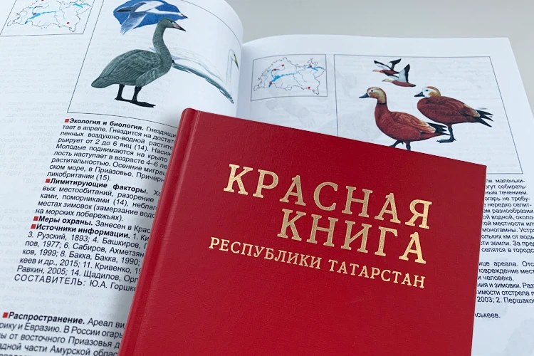 В Раифском СУВУ отметили Всемирный день защиты животных: воспитанники узнали о тайнах К...