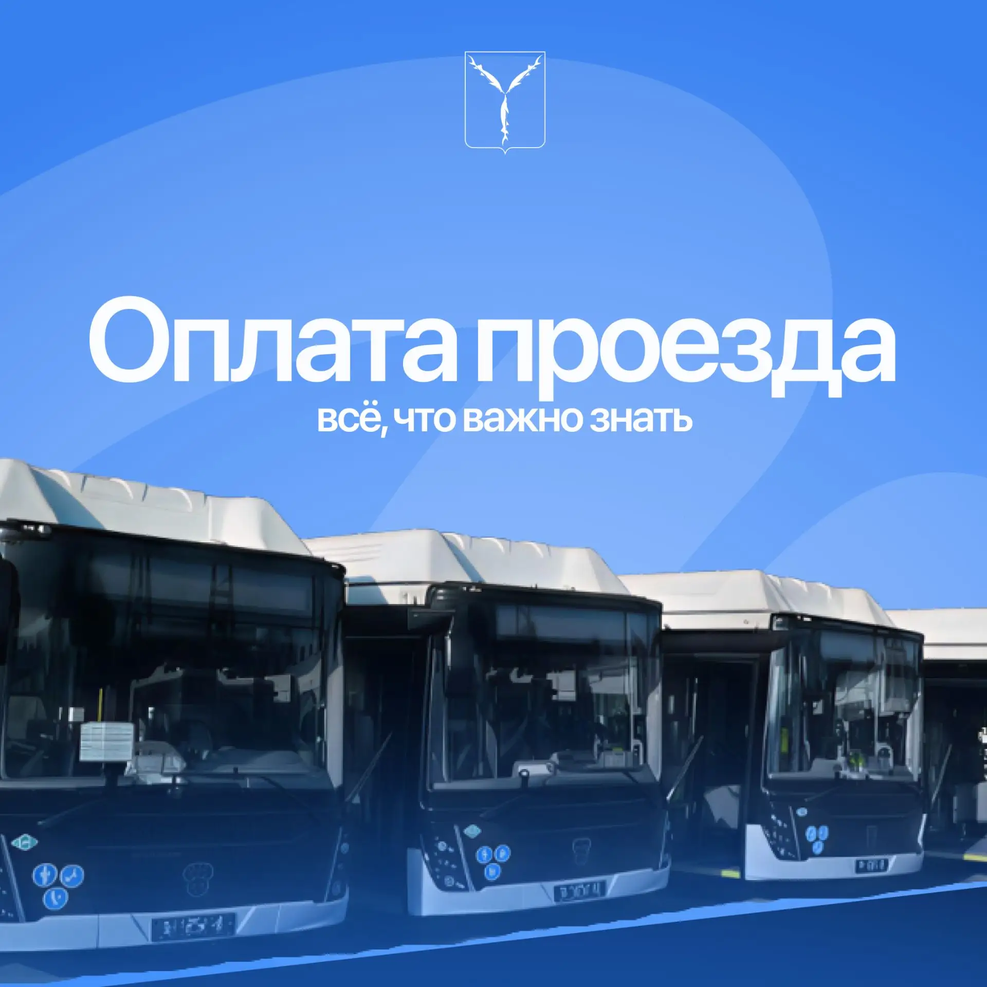 🚌 Почему важно оплачивать проезд?